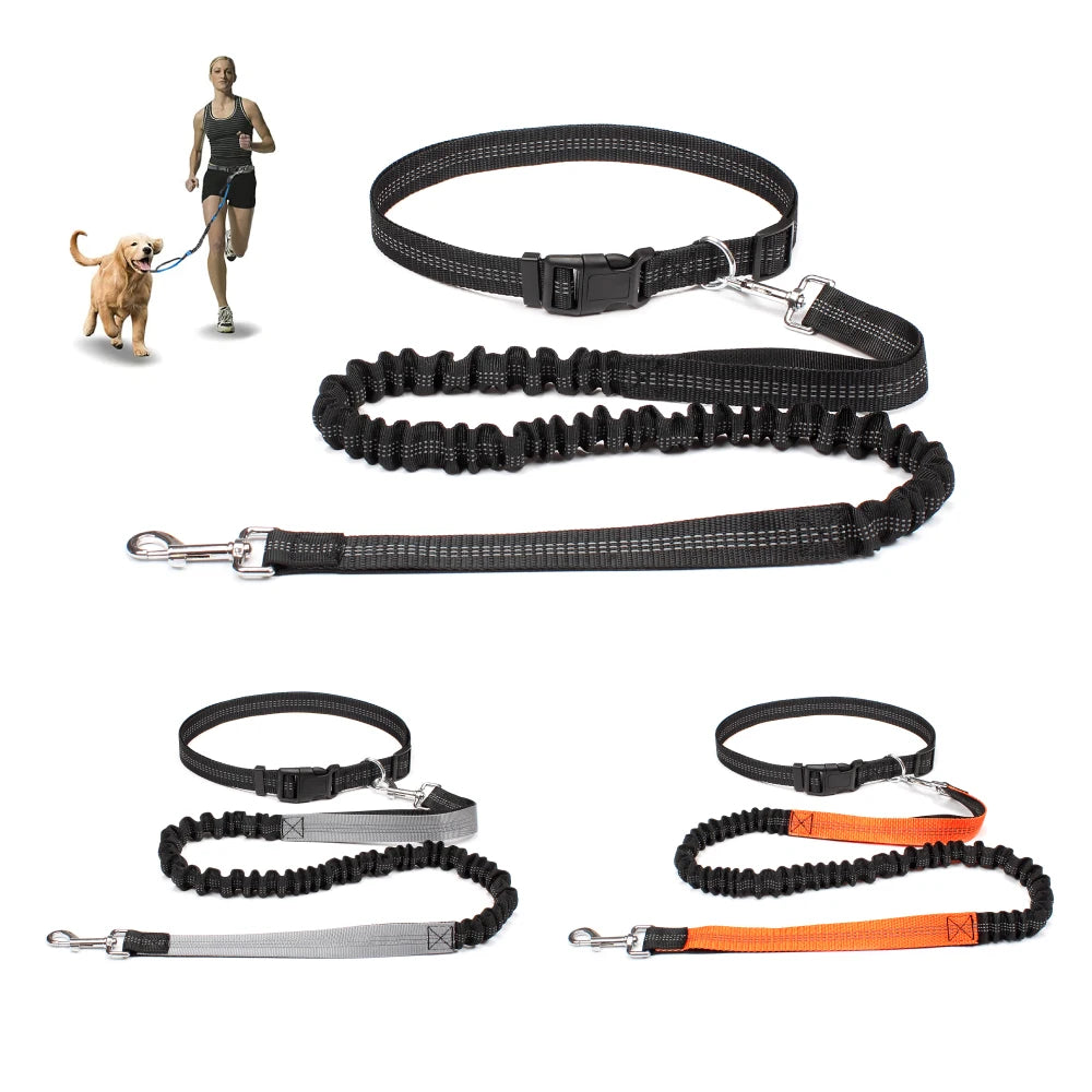 Correa Ajustable para Perros con Manos Libres para Pasear, Correr y Trotar.