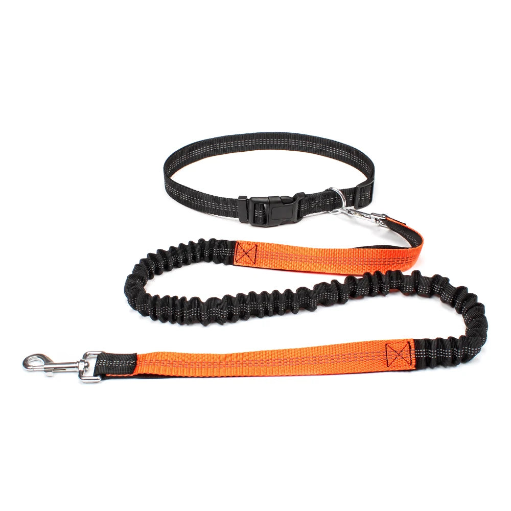 Correa Ajustable para Perros con Manos Libres para Pasear, Correr y Trotar.